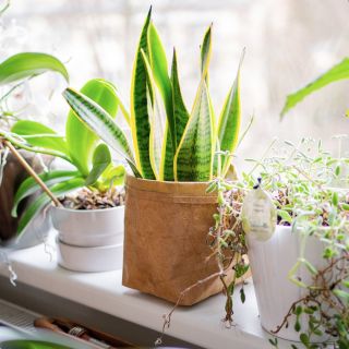 Věděli jste, že vyrábíme i tyhle originální obaly na květináče?🪴 Květináč je z mačkaného kraftového papíru s...